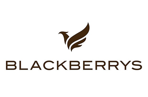 BLACKBERRYS LOGO